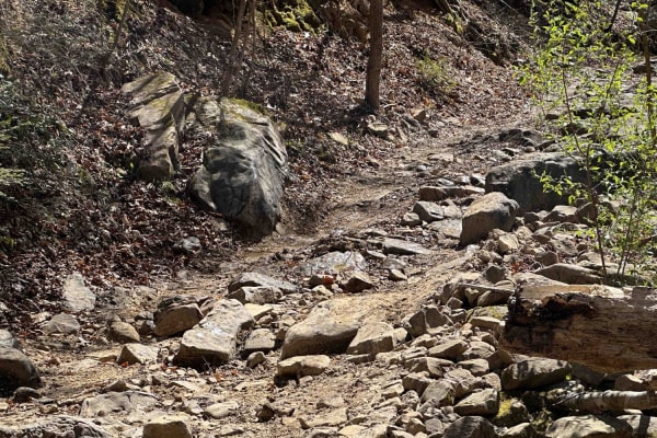 Coppinger Cove to Cave