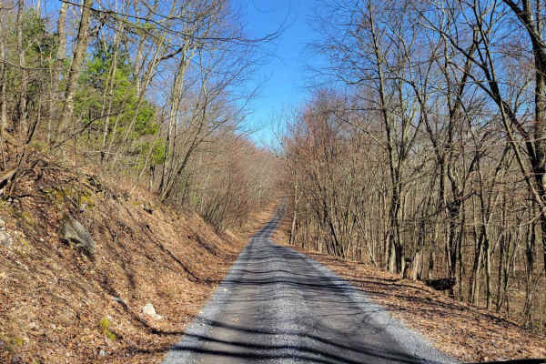 Beidleheimer Trail