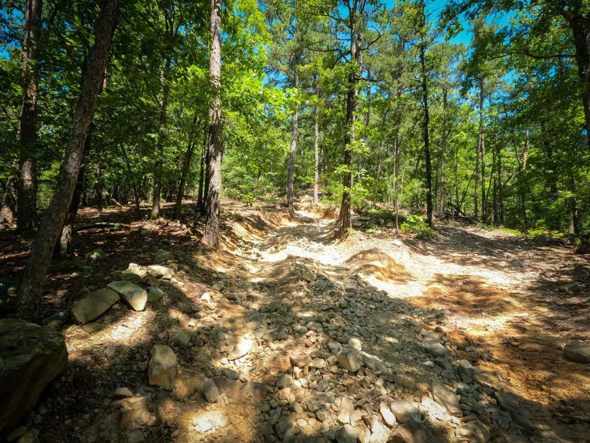 Rubicon Ridge photo 4