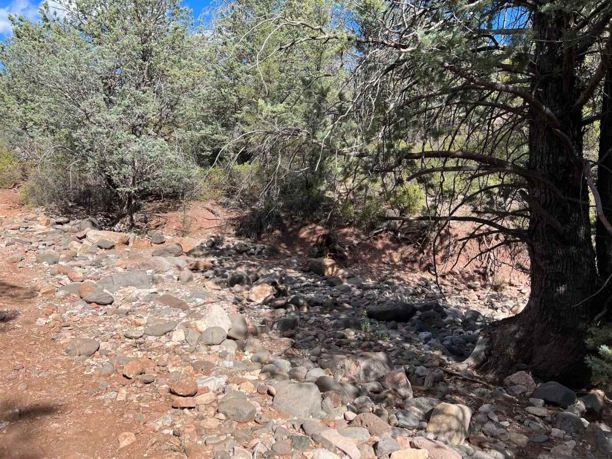 Flowing Springs MT-74 photo 3