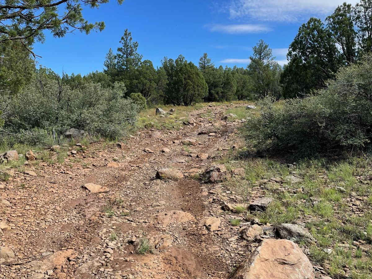 Rock Garden Loop photo 3