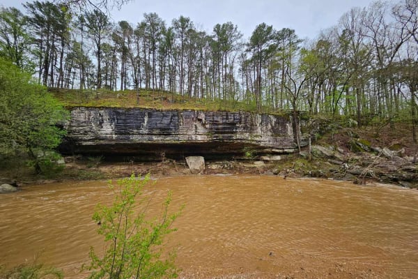 Clifty Creek