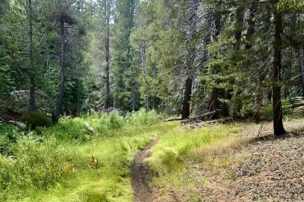 Trout Creek Trail