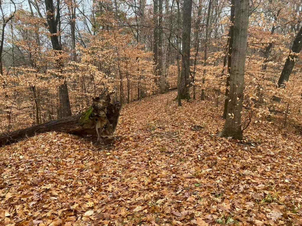 N Hamburg Hill Spur photo 6