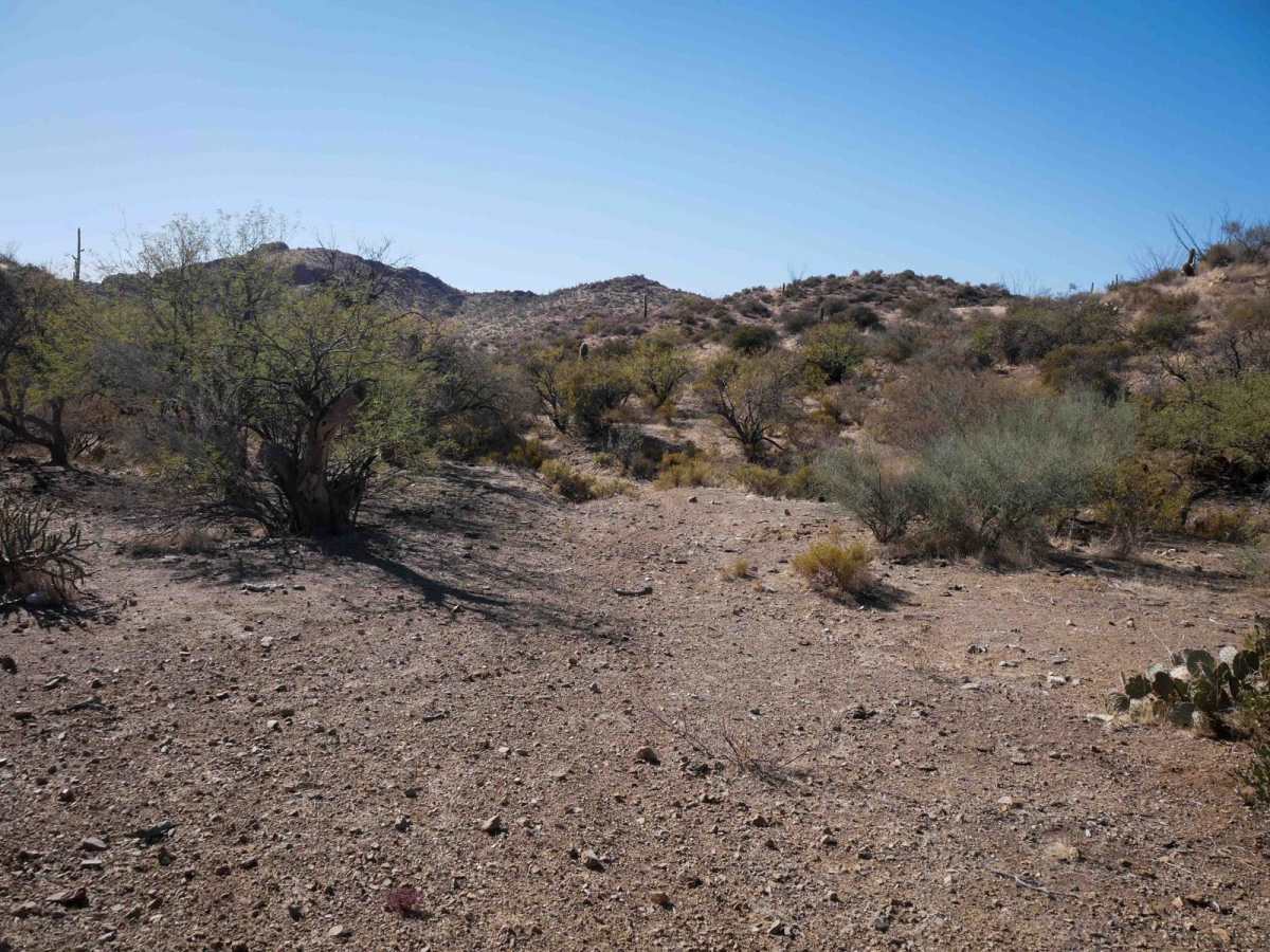 Picacho Singletrack photo 5