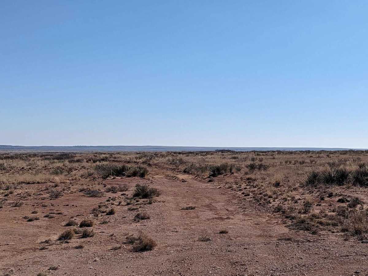 Billy the Kid Loop trail photo
