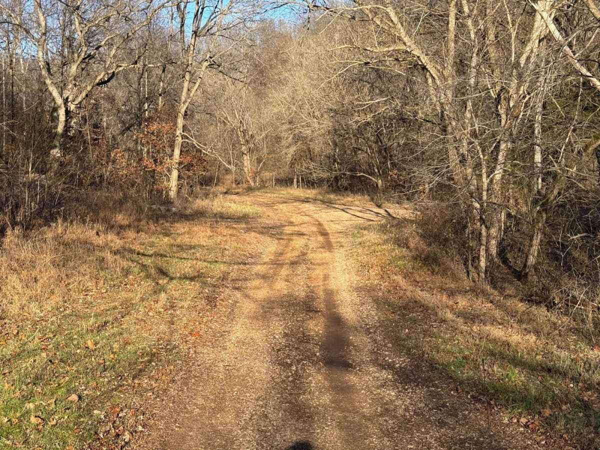 Green 313 trail photo