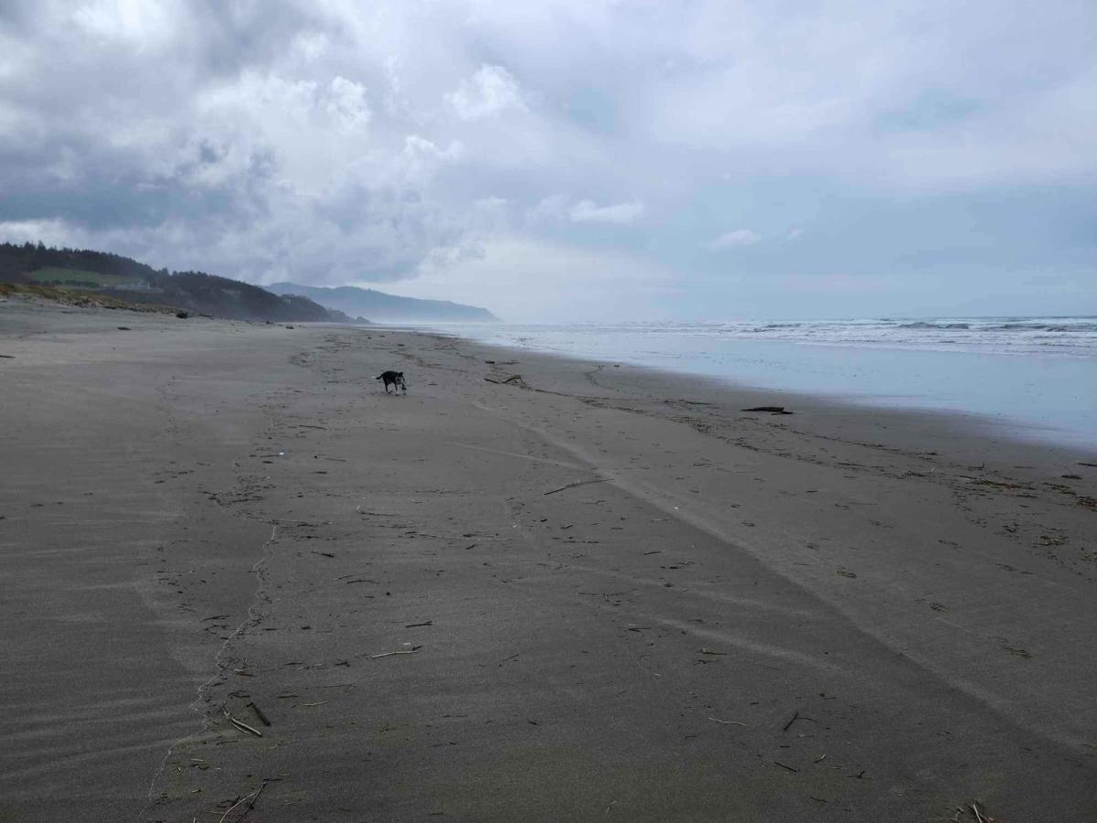 Bob Straub Beach Trail photo 6