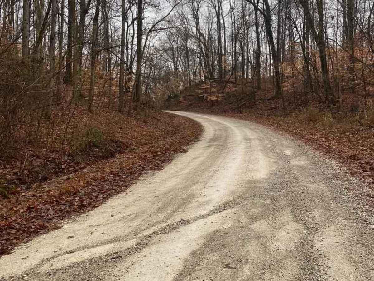 Delta Road/Moad Hollow Road photo 4