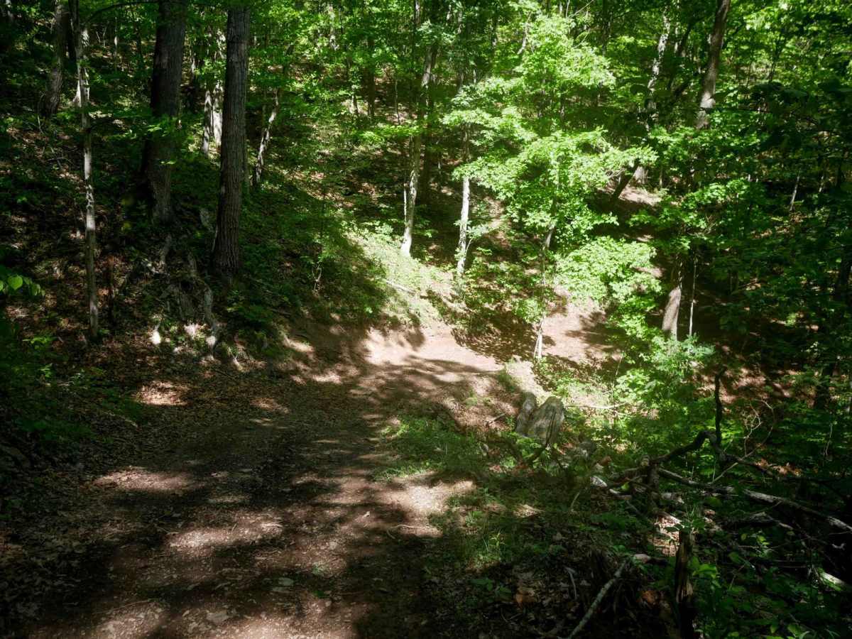 Trail 22 photo 4