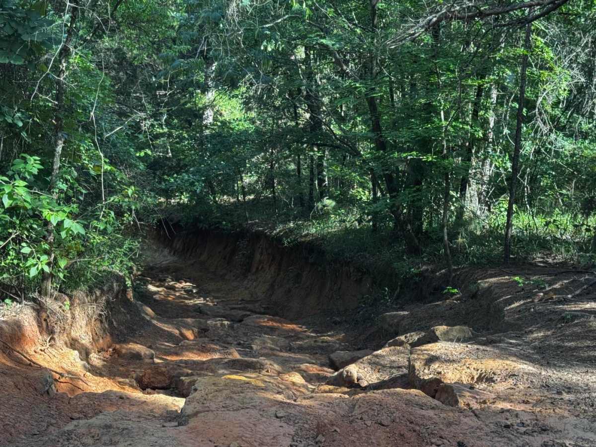 Clyde's Ravine photo 6