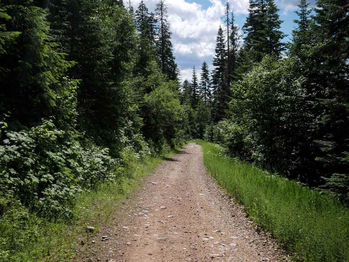 South Canfield OHV photo 3