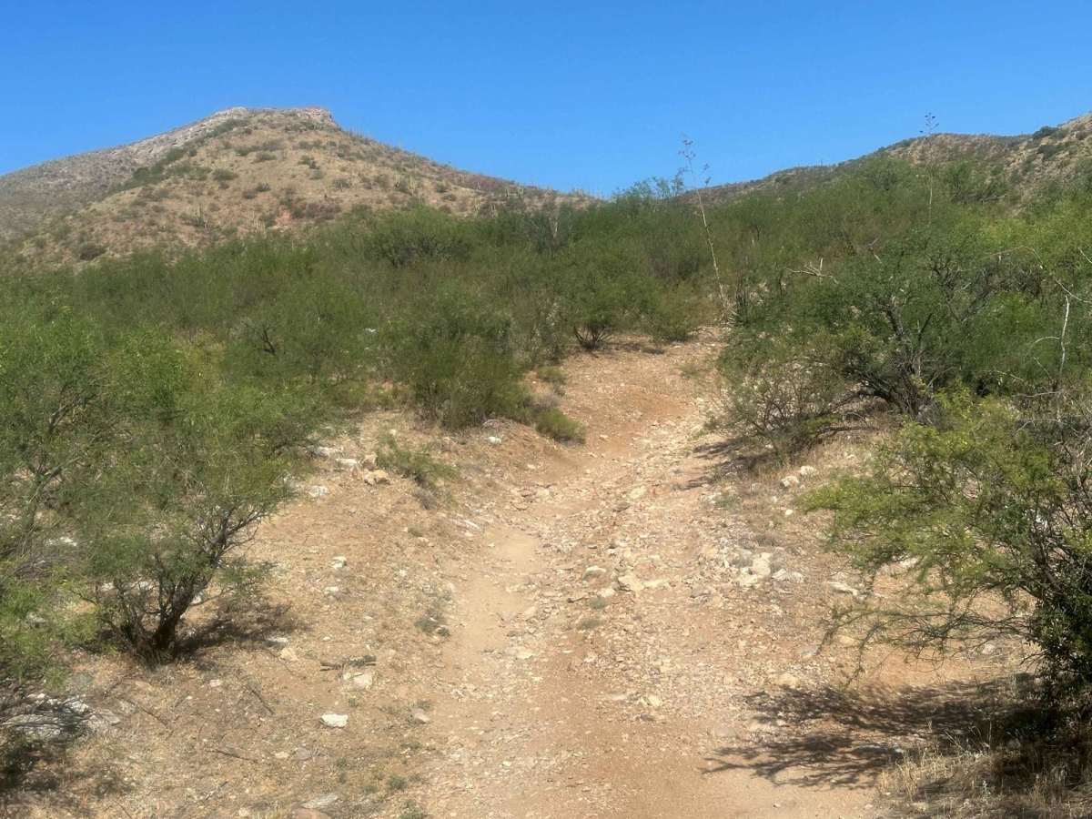 Eagle Peak photo 3