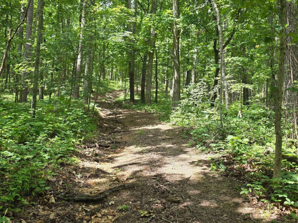 Smith Mill Hollow - FS 2877 photo 5