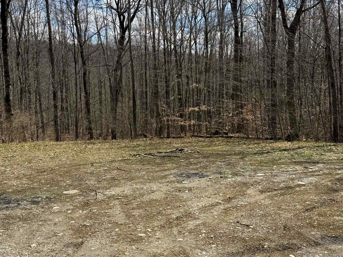 Vandermark Allen Forest Road photo 5