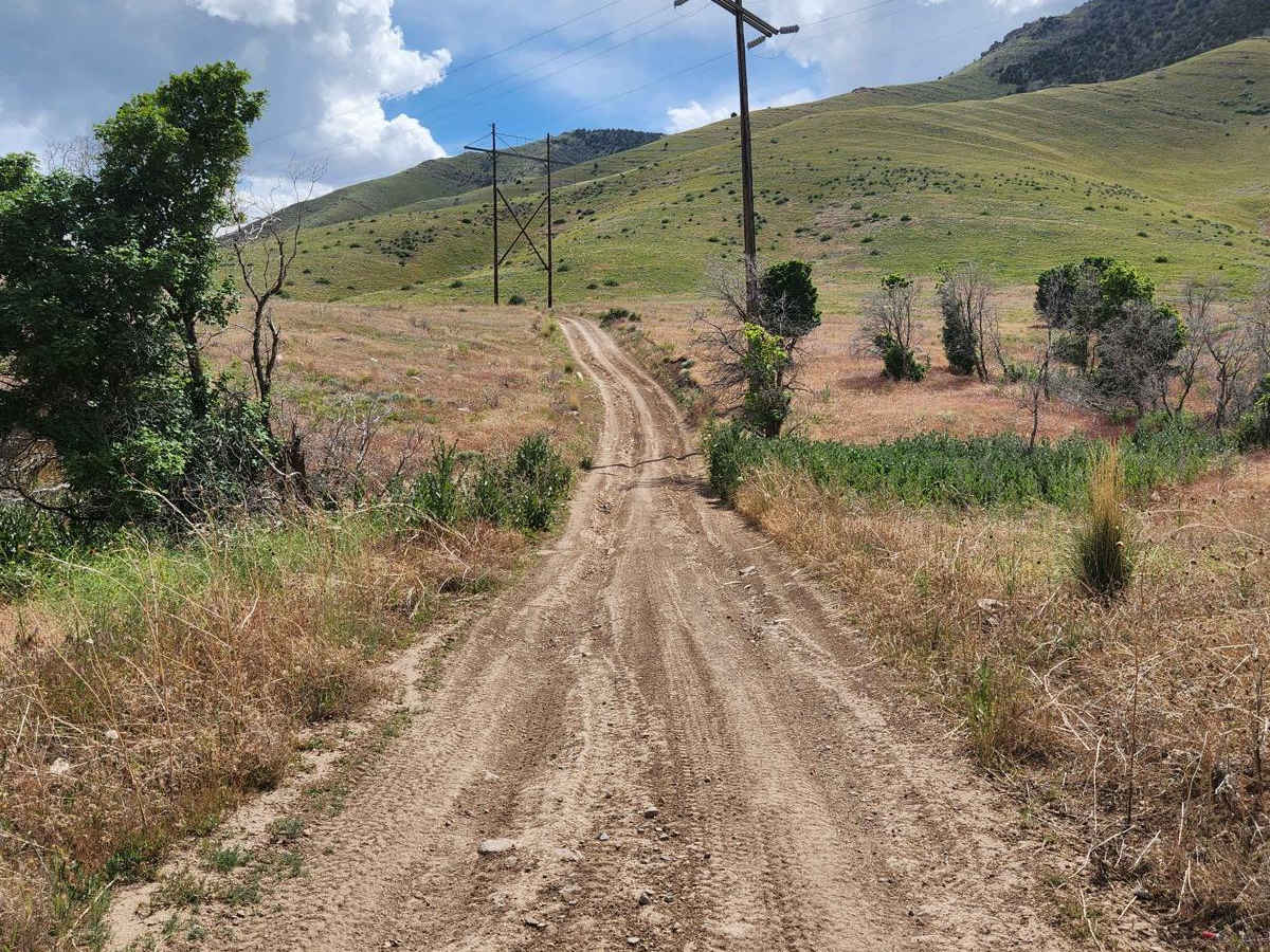 Powerline Road photo 2