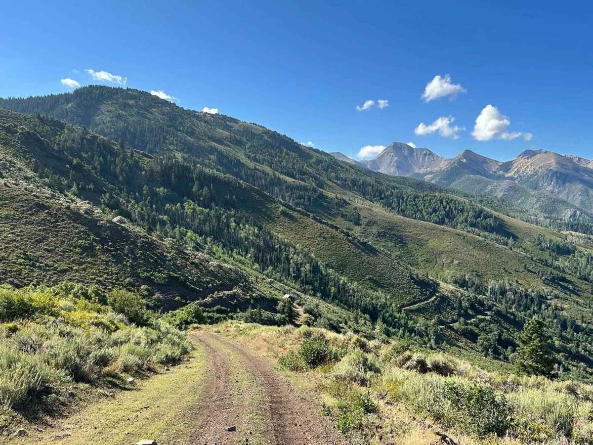 Tip Top Road trail photo
