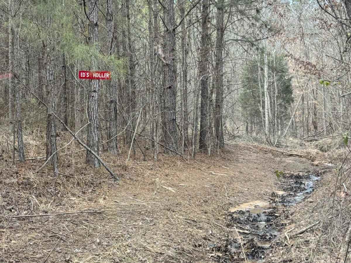 Ed's Holler trail photo