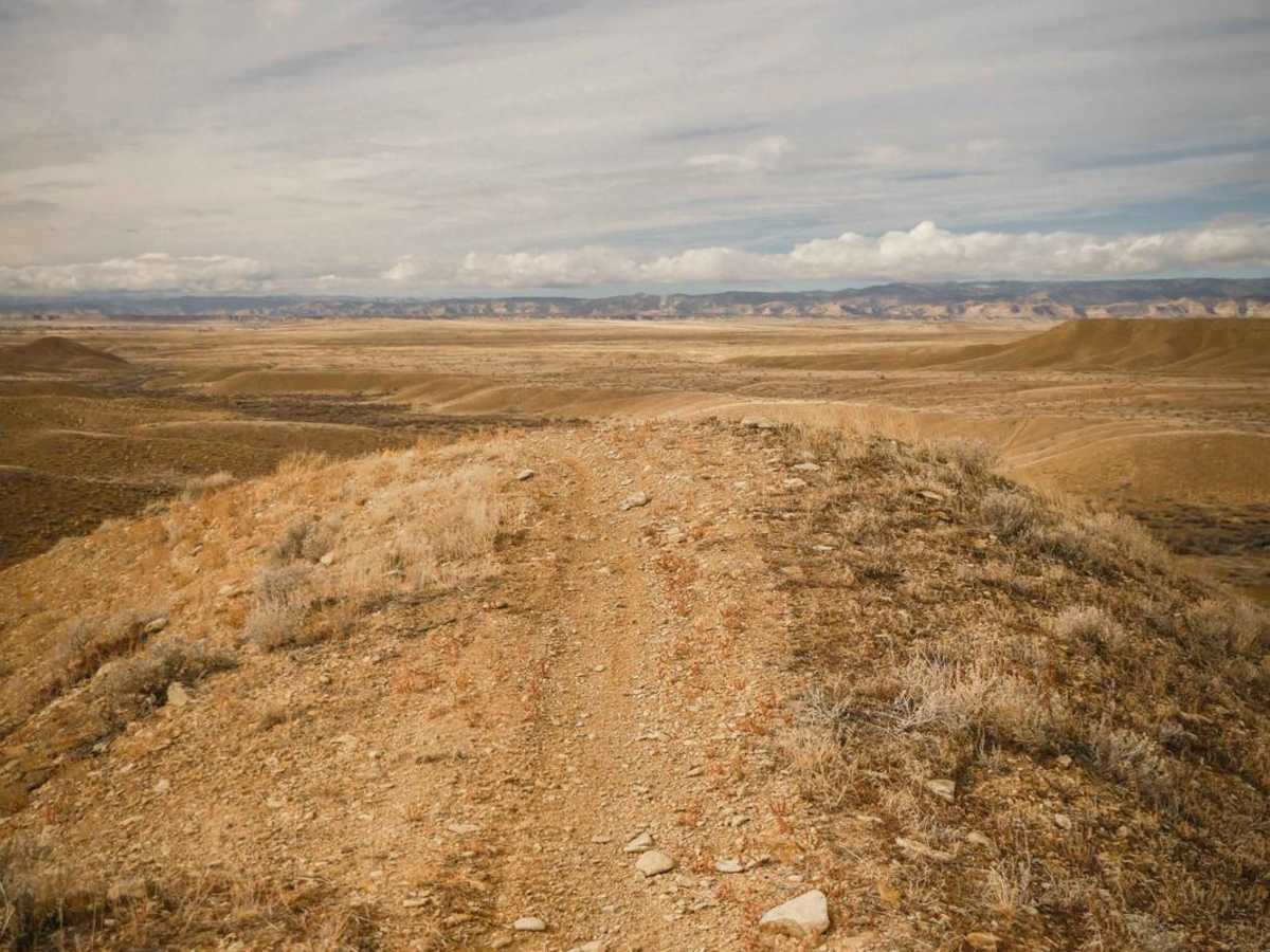 Trail 150 photo 3