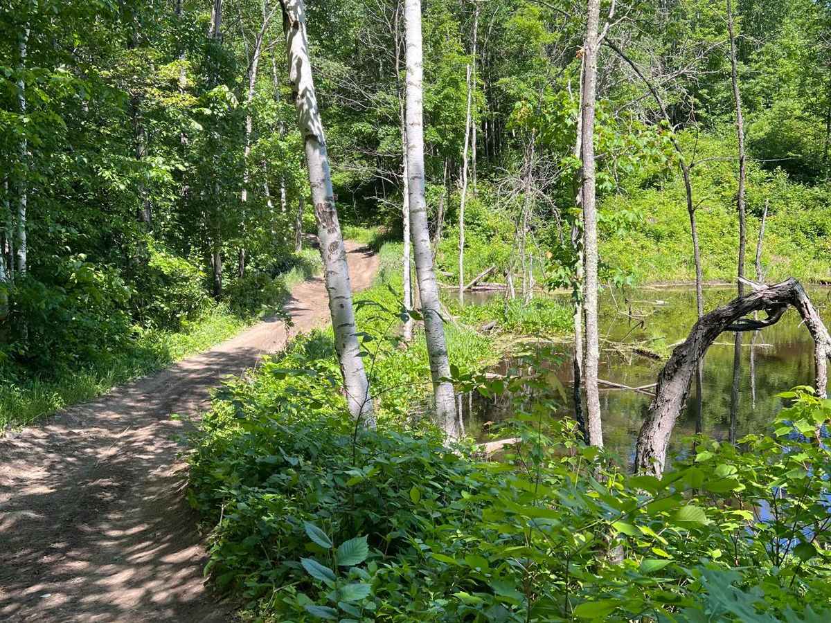 Paul Bunyan Far East Loop photo 5