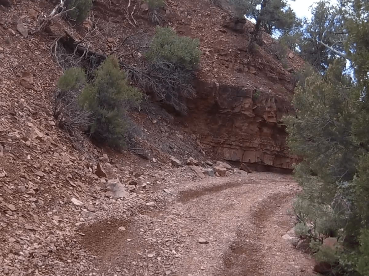 Spring Mountain Recreation Area - Side Trail 01 photo 6