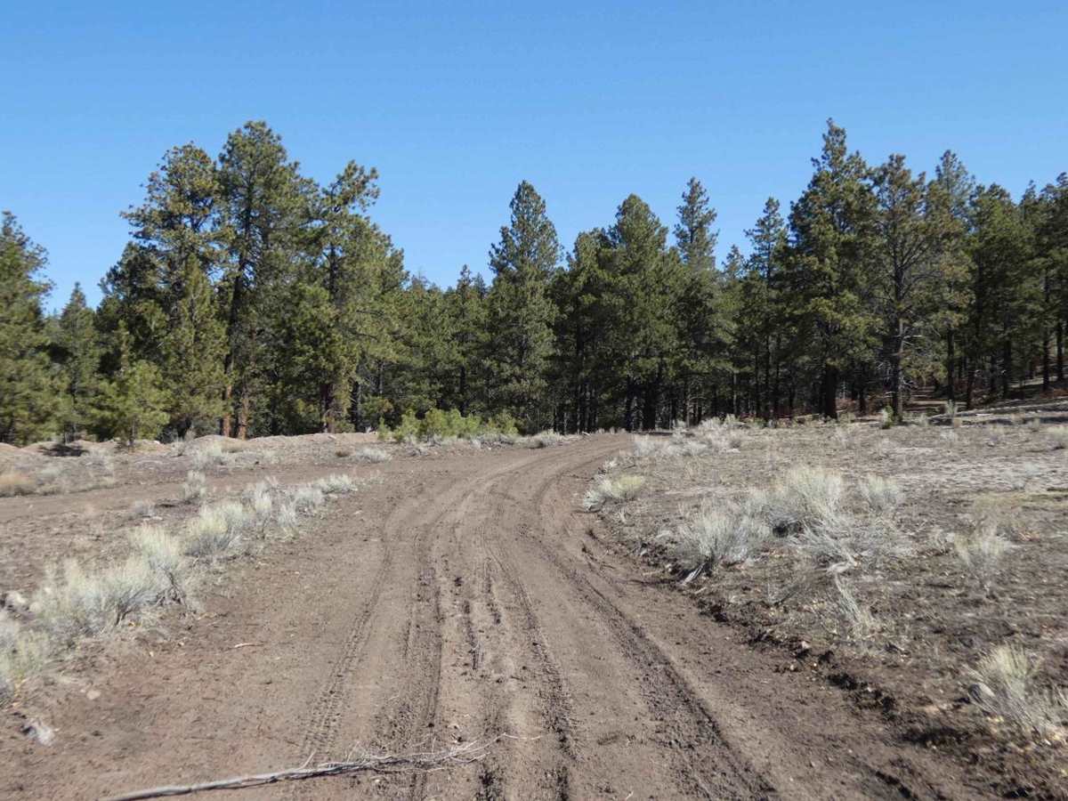 Tusas Ridge photo 4