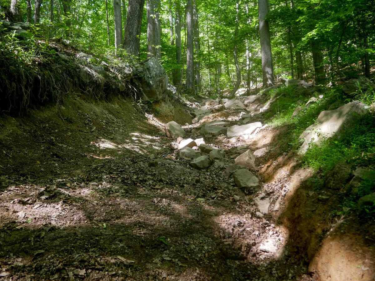 Trail 10 photo 5