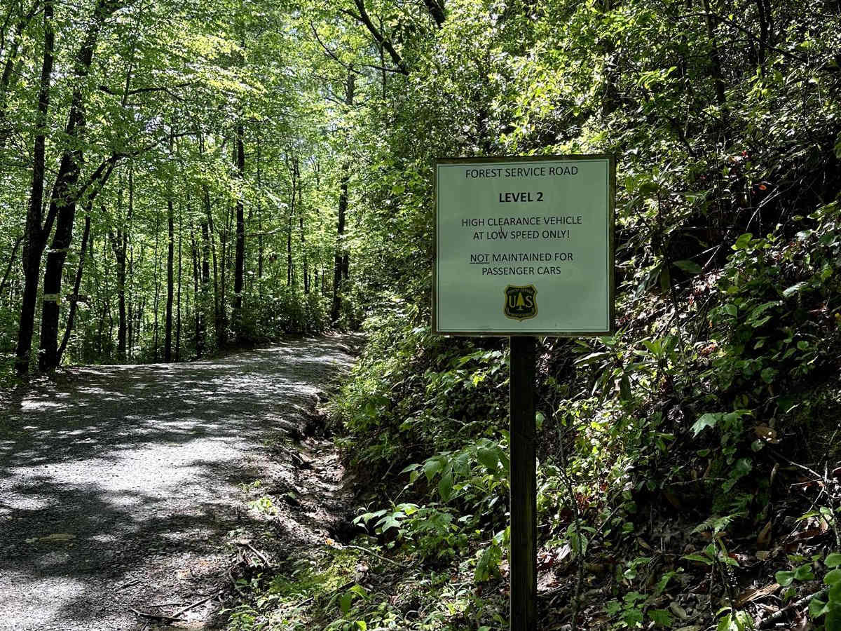 Nimblewill Road photo 3