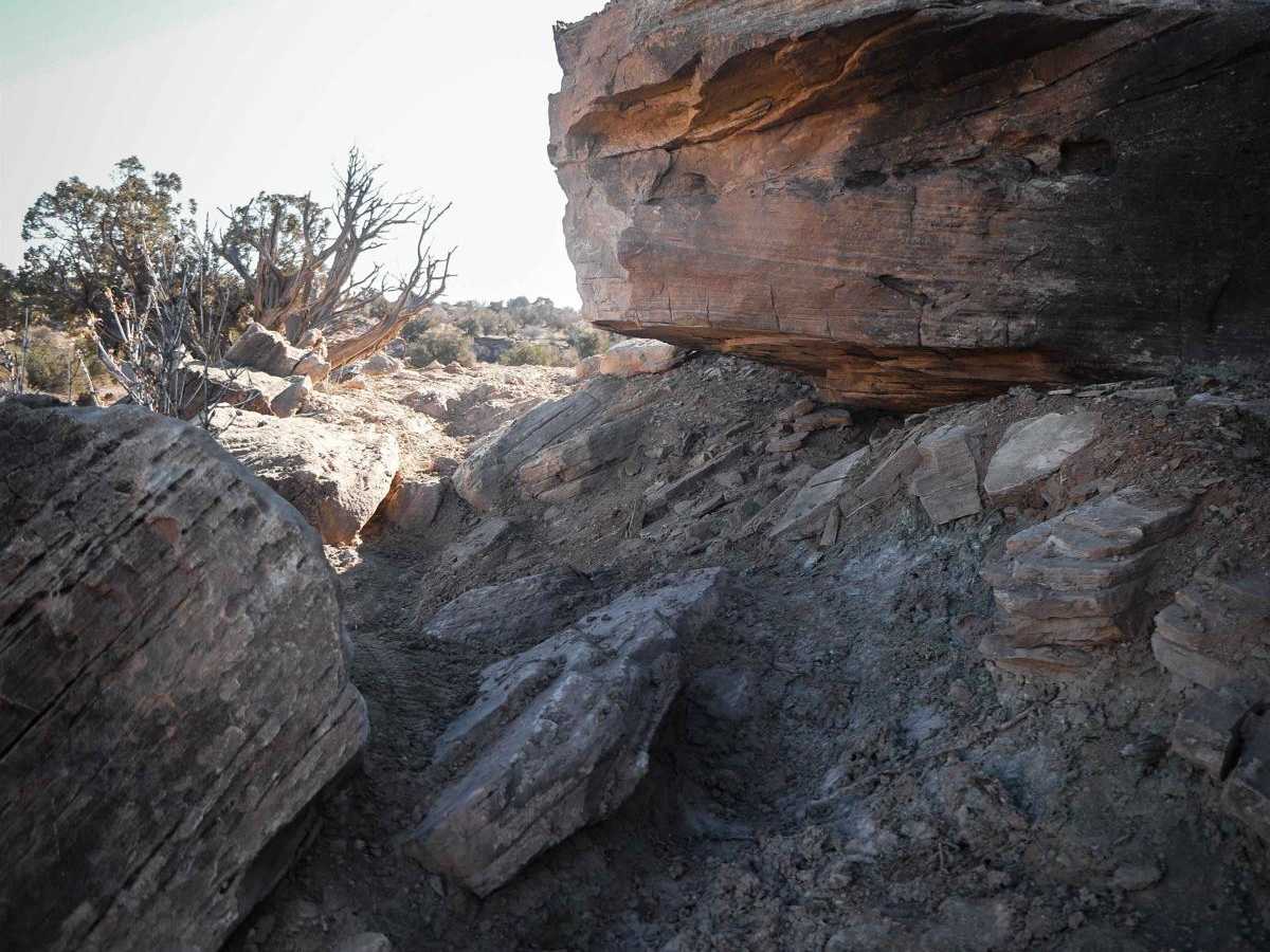 Salt Wash Single Track photo 3