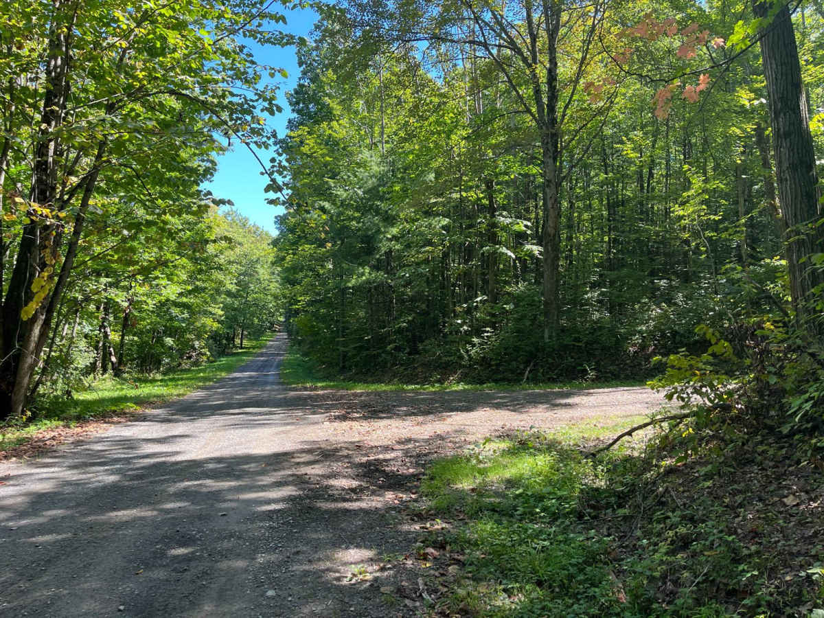 Bull Hill Road photo 4