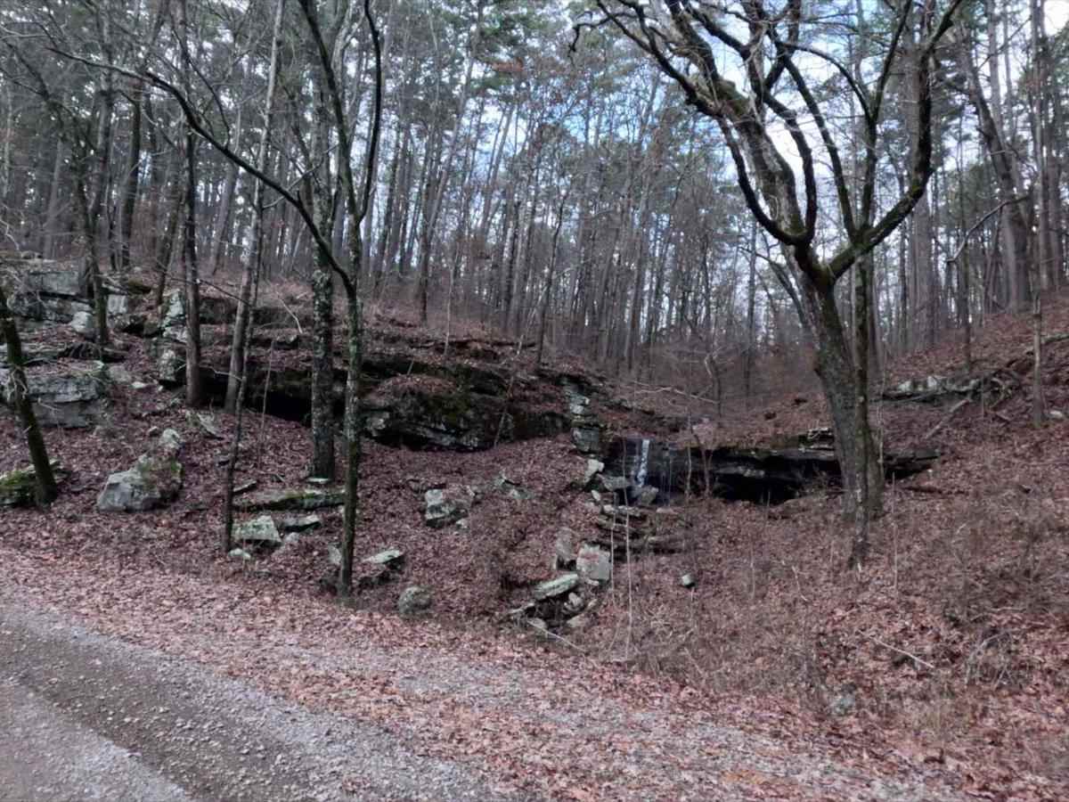 Seymor Road photo 4