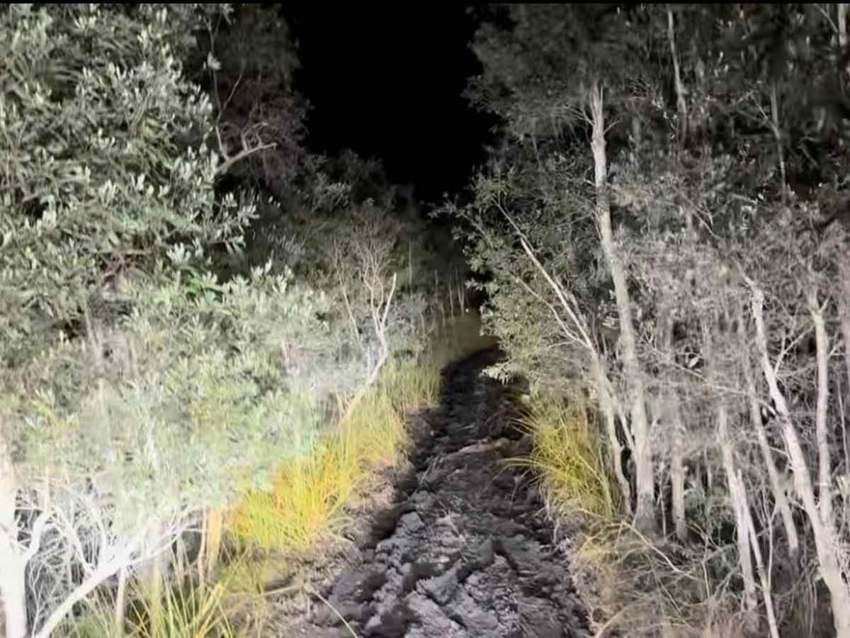 Tamiami Trails photo 2