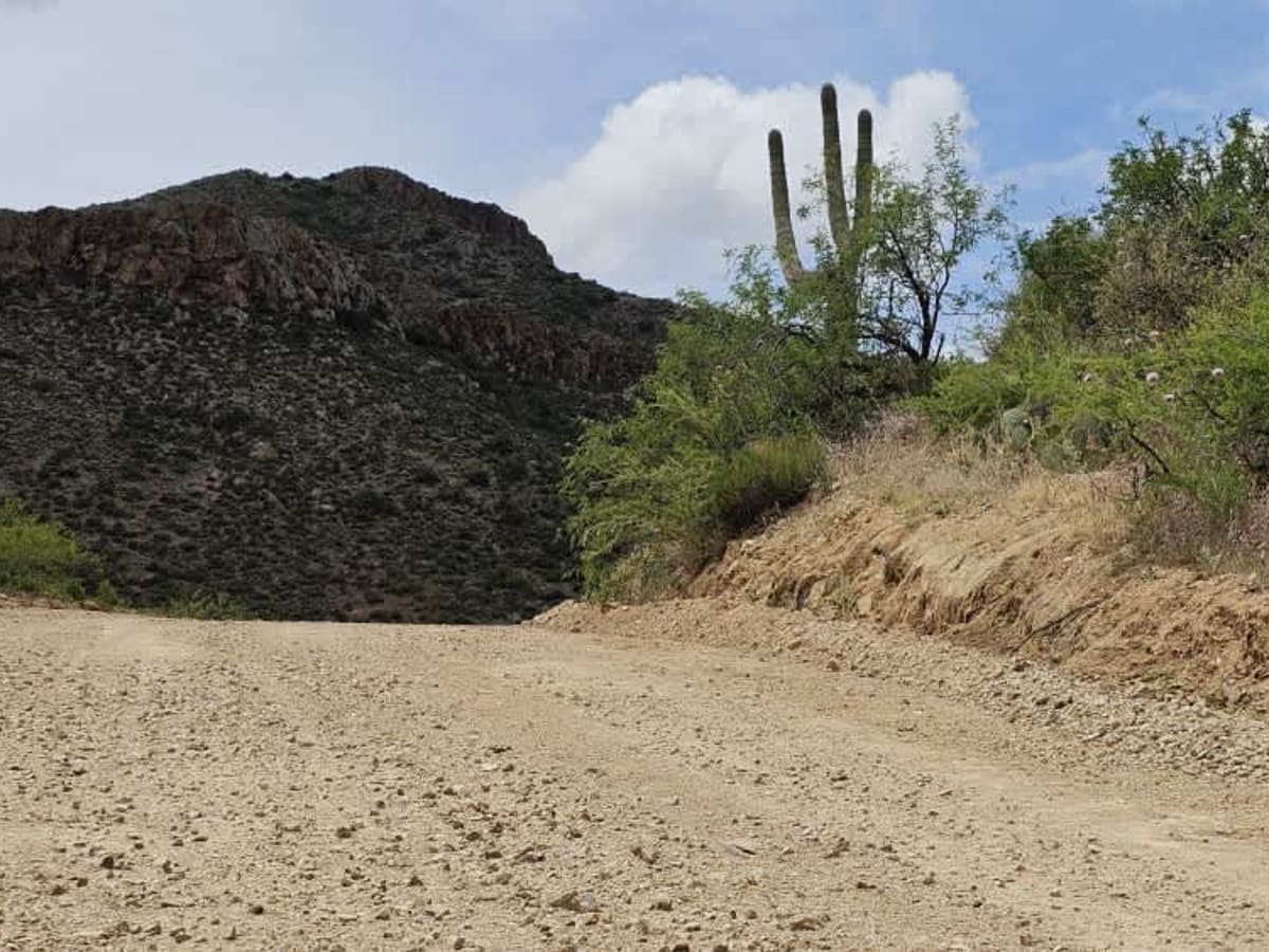 Walker Gulch to French Creek photo 3