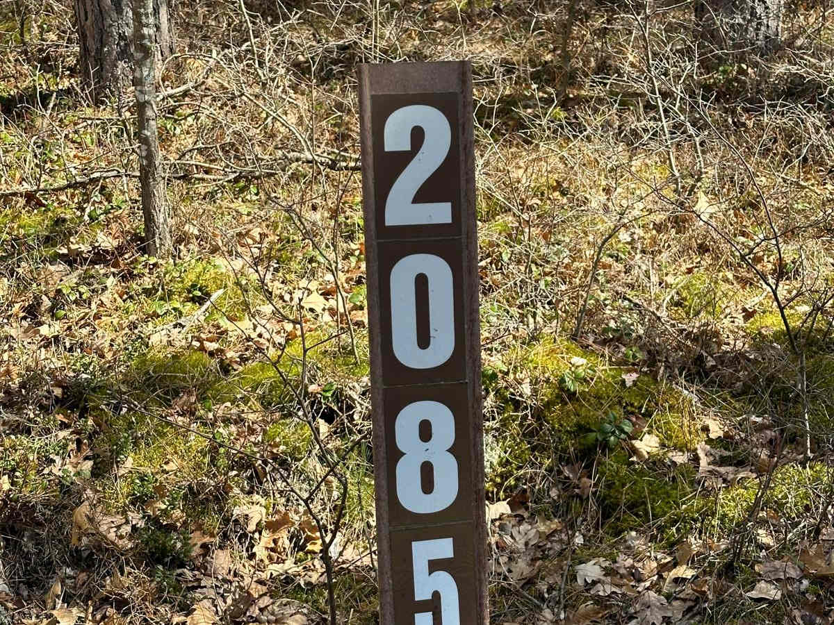 FS 2085 trail photo