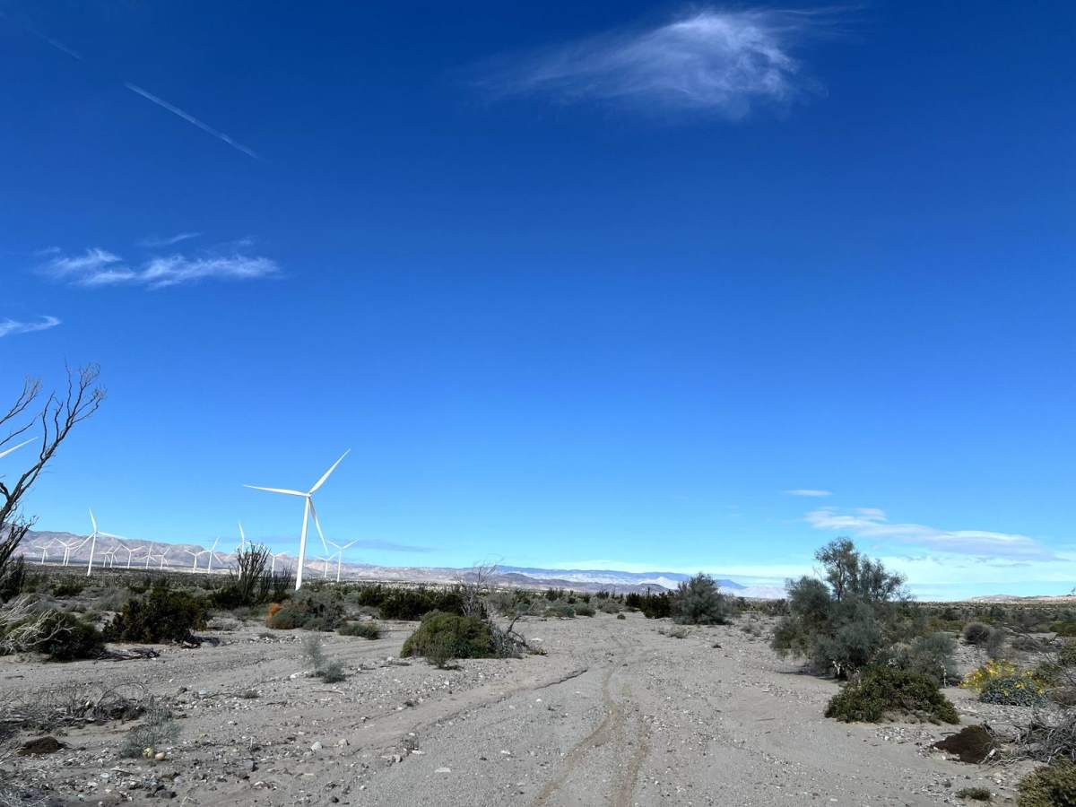 Trans-Ocotillo Connector photo 4