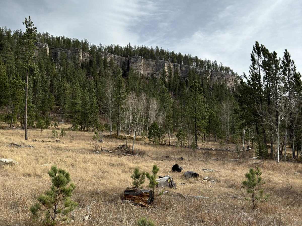 Hughes Draw & Horsethief Road photo 3