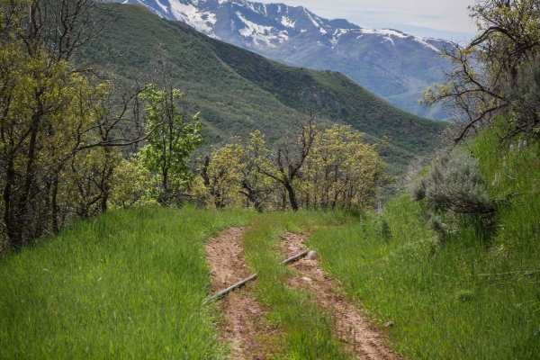 Long Hollow ATV
