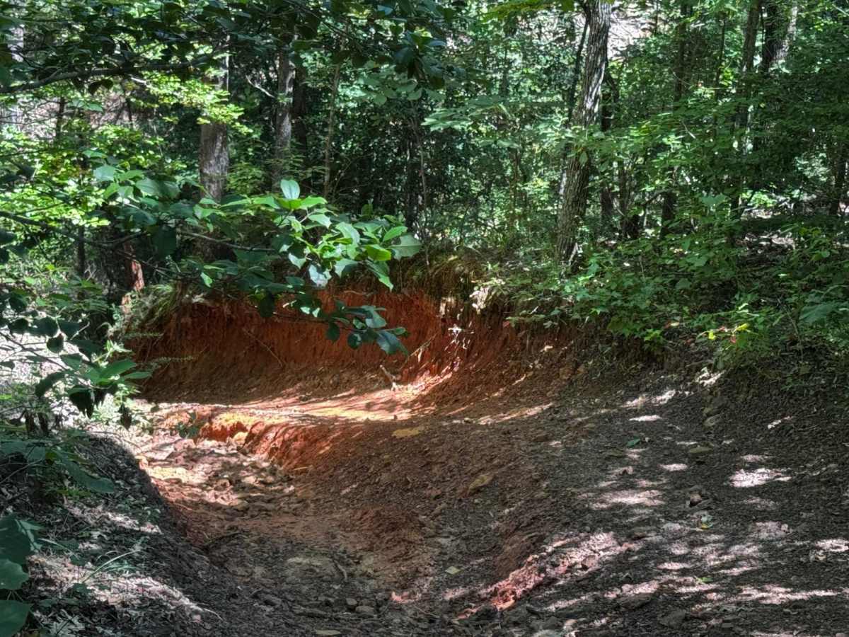 Horseshoe Gulch photo 5