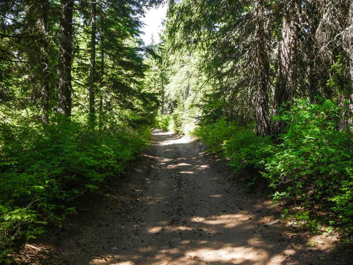 Lake Elsie Ridge ATV photo 6