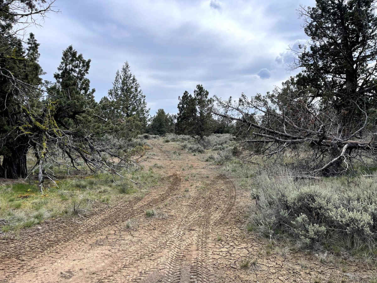Dirt Road Dash photo 5