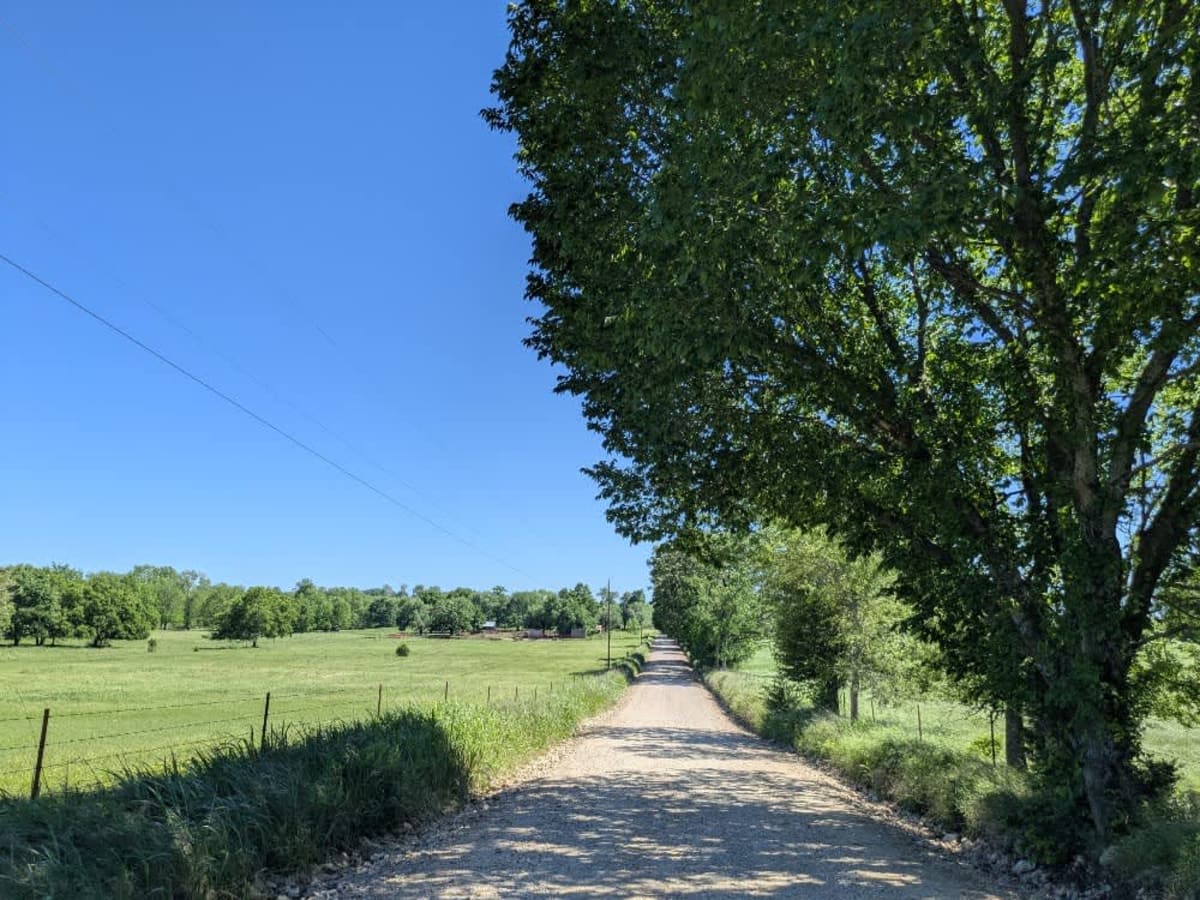 South 460 photo 3