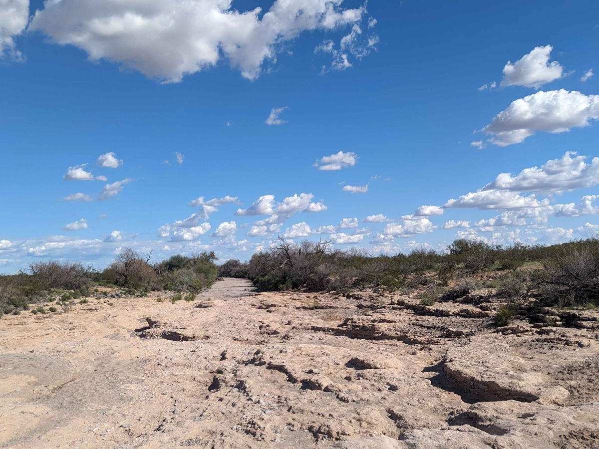 Jackrabbit Wash photo 5