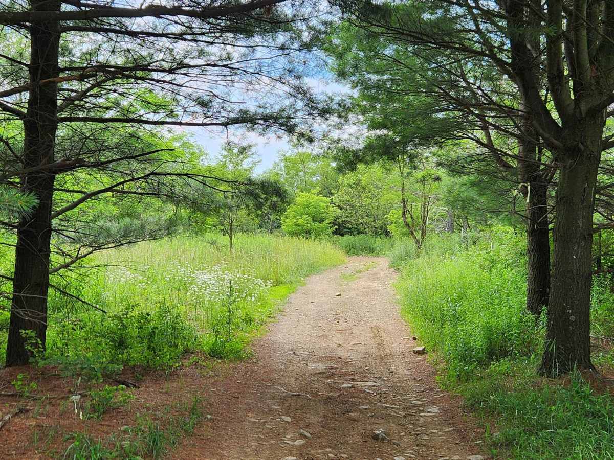 Trail 10A - Rock Run Recreation Area photo 3
