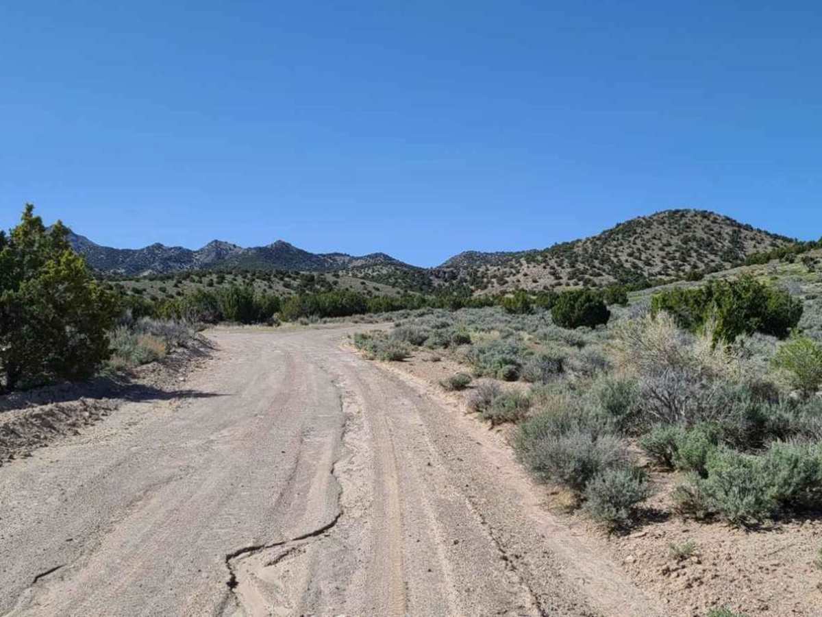 Keg Mountain Road trail photo