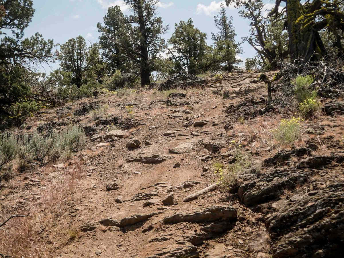 13 trail photo
