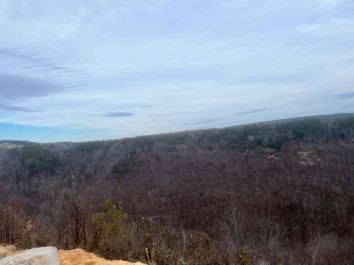 Coalmont OHV Main Road photo 3