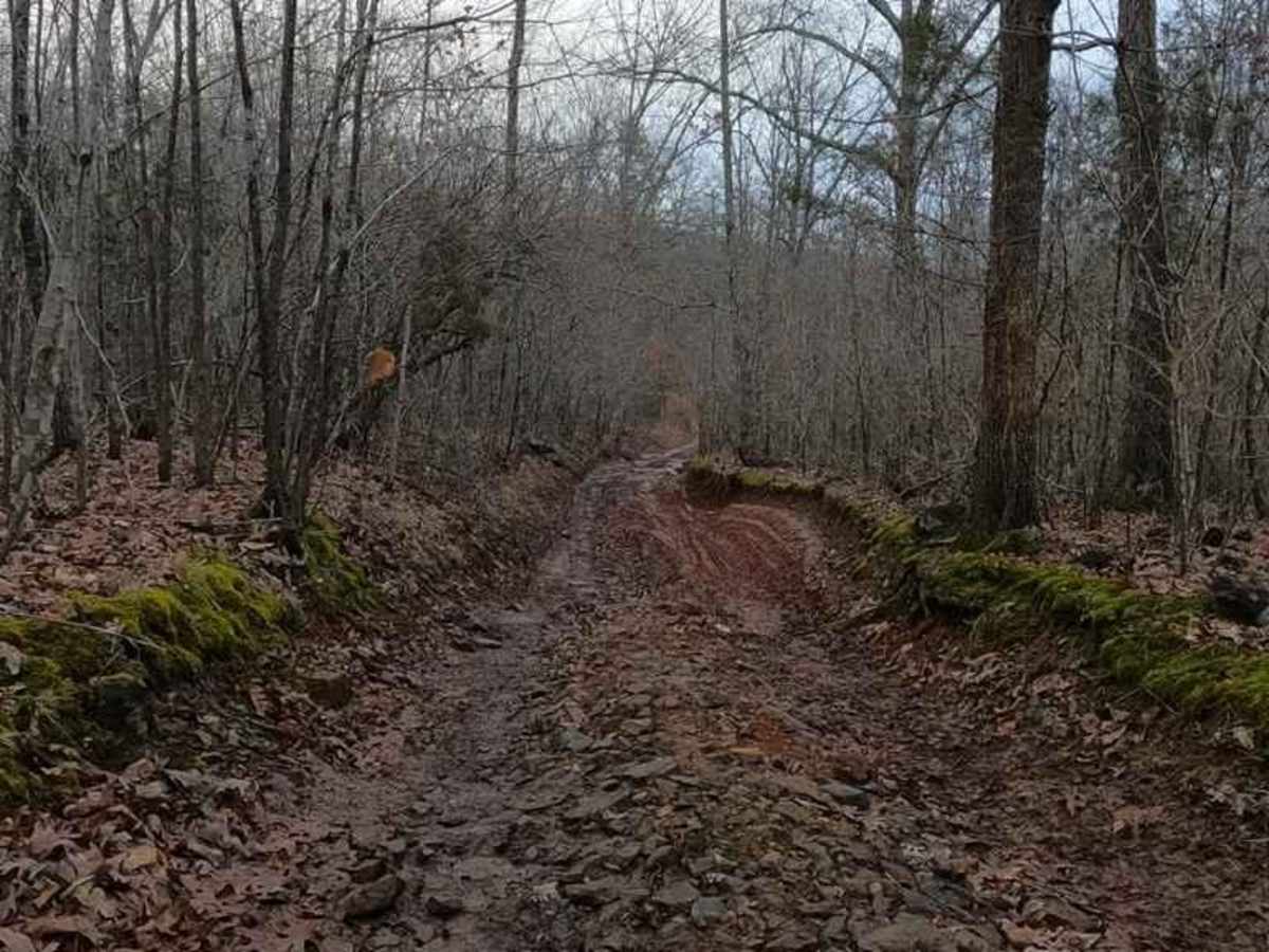 Bill Smith Hollow FSR 2064 photo 4