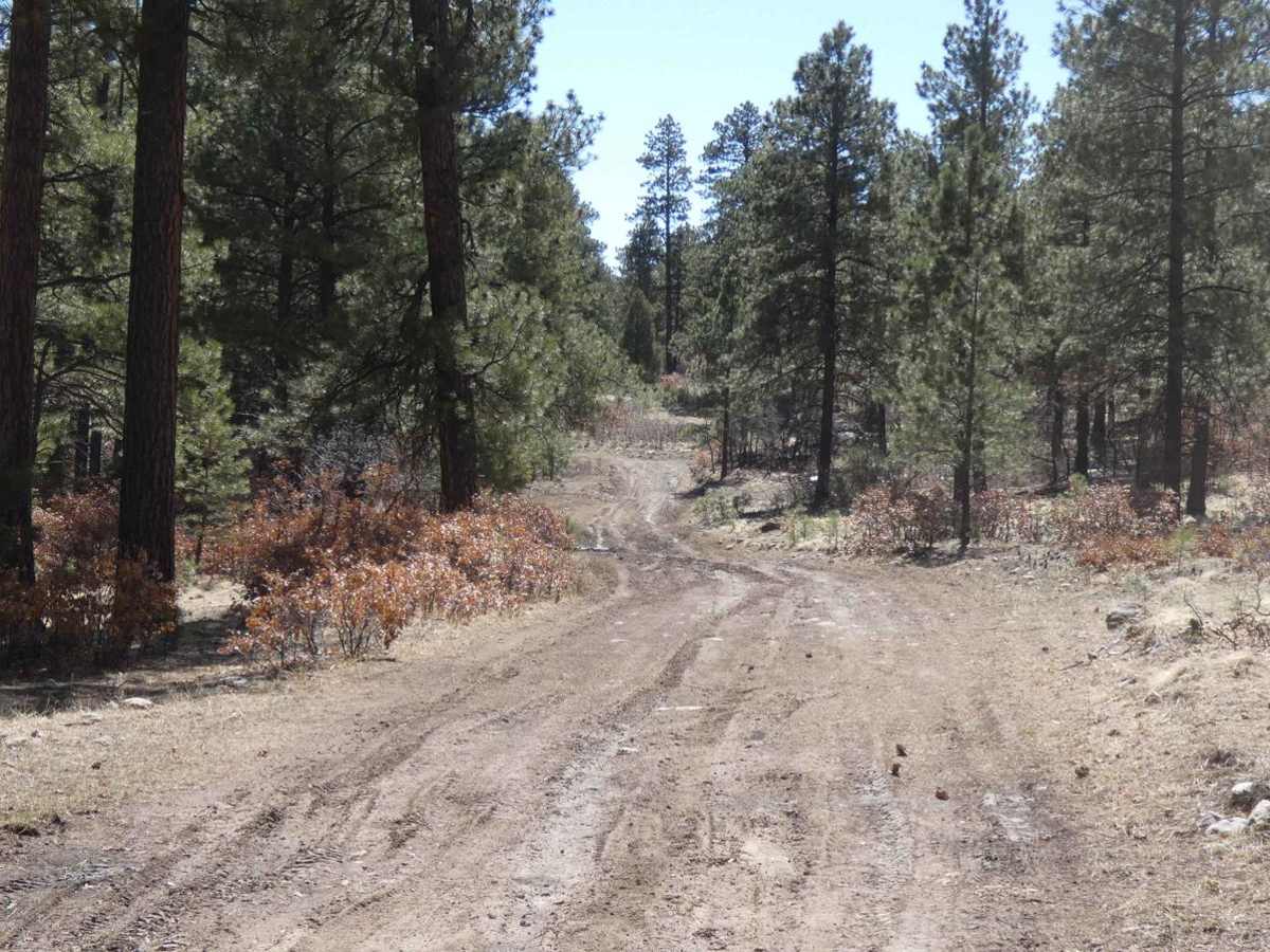 Red Mesa FSR-578 photo 4