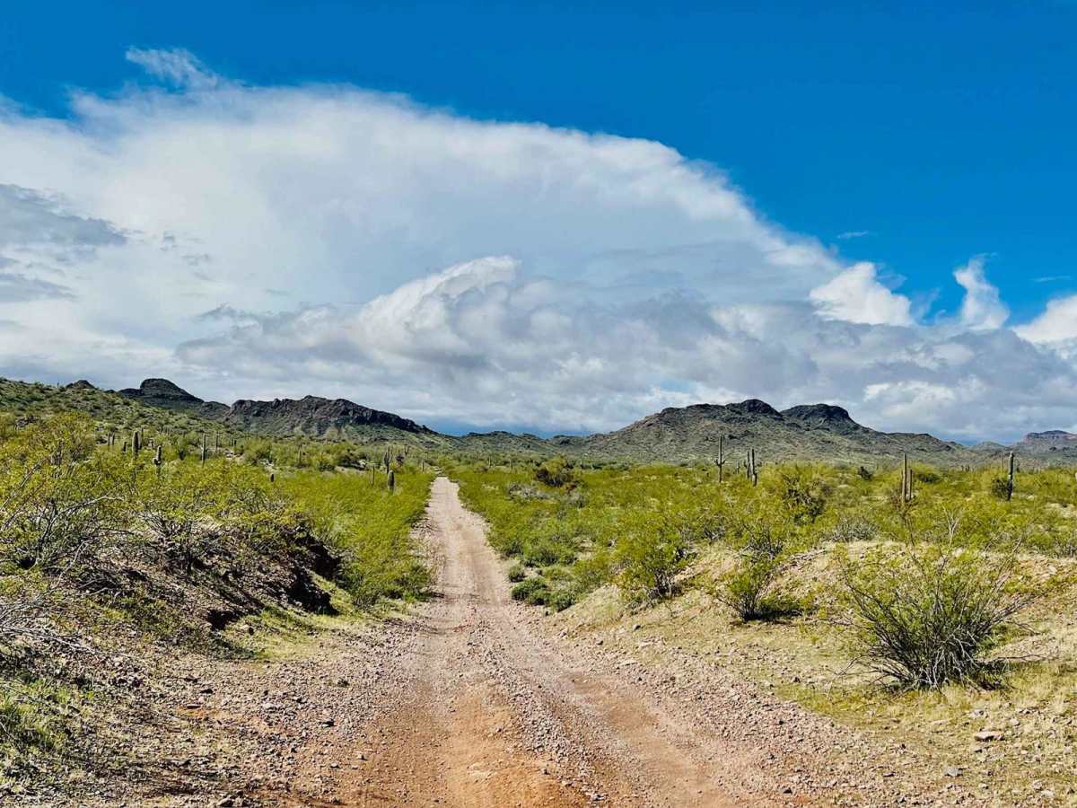Saguaro Arm Valley photo 5