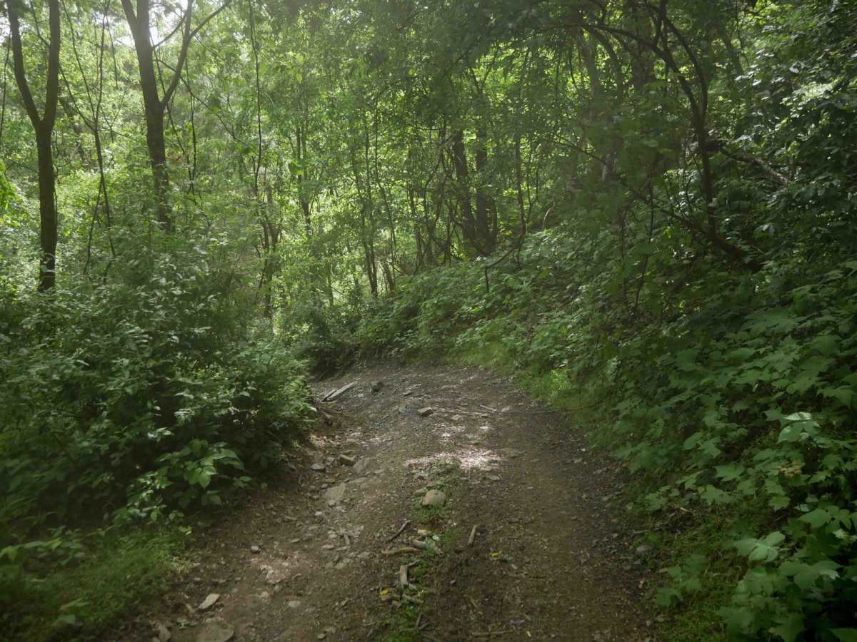 MV22 trail photo